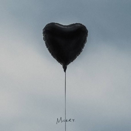 The amity affliction " Misery "