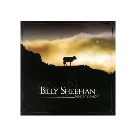 Billy Sheehan " Holy Cow! "
