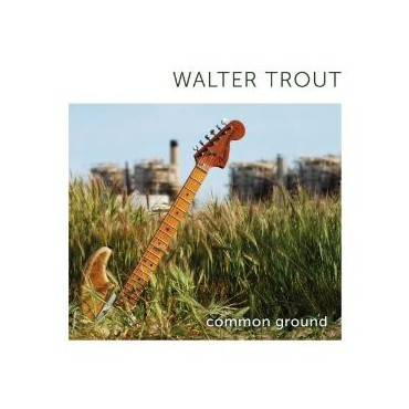 Walter Trout " Common Ground "