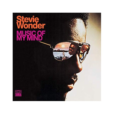 Stevie Wonder " Music of my mind "