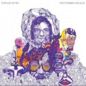 Portugal the Man " In the mountain in the cloud "