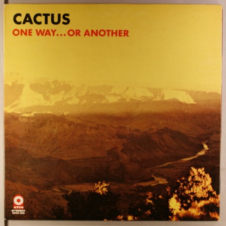 Cactus " One way...or another "