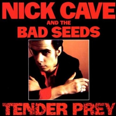 Nick Cave & The Bad Seeds " Tender prey "