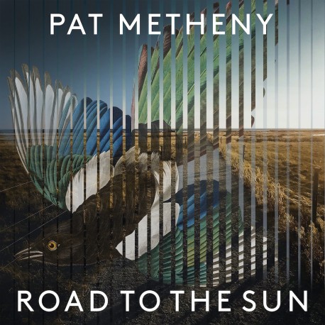 Pat Metheny " Road to the sun "