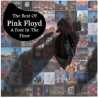 Pink Floyd " A foot in the Door: The Best of "