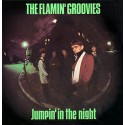 The Flamin' Groovies " Jumpin' in the night "