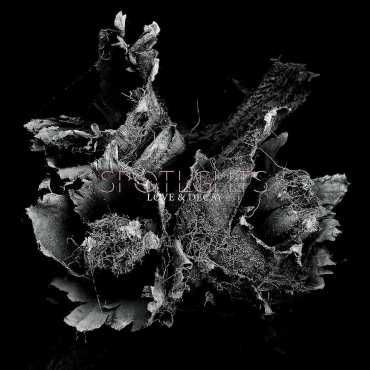 Spotlights " Love & Decay "