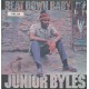Junior Byles " Beat Down Babylon "
