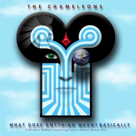 The Chameleons " What Does Anything Mean? Basically "