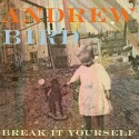 Andrew Bird " Break it yourself "