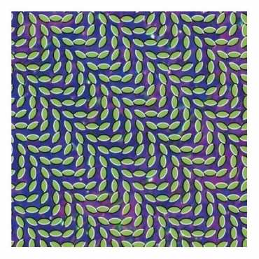 Animal Collective " Merriweather post pavillion "