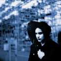 Jack White " Blunderbuss "