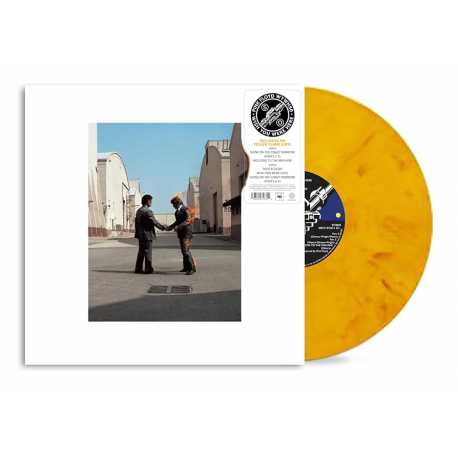 Pink Floyd " Wish you were here "