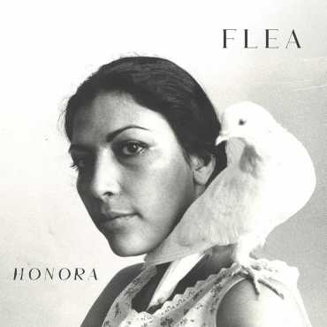 Flea " Honora "
