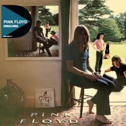 Pink Floyd " Ummagumma "