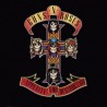Guns N' Roses " Apetite for destruction " 