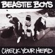 Beastie Boys " Check your head " 