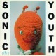Sonic Youth " Dirty " 