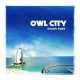Owl City " Ocean eyes "
