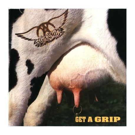 Aerosmith " Get a grip " 