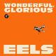 Eels " Wonderful, glorious " 