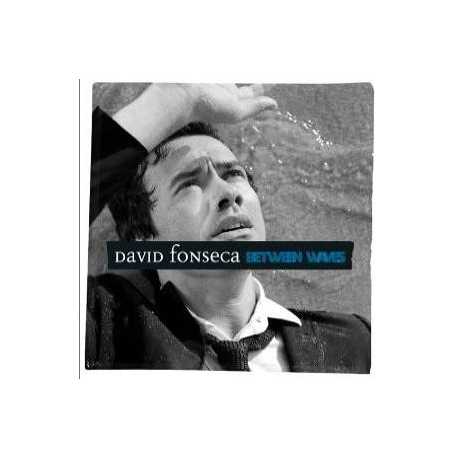 David Fonseca " Between Waves "