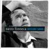 David Fonseca " Between Waves "