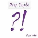 Deep Purple " Now What?! "