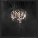 Editors " The weight of your love "