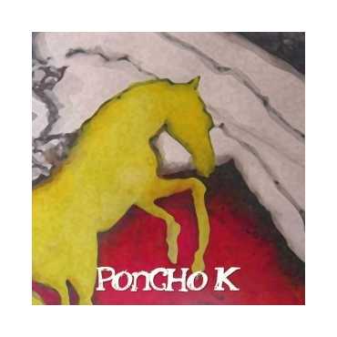 Poncho K " Caballo de oro "