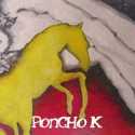 Poncho K " Caballo de oro "
