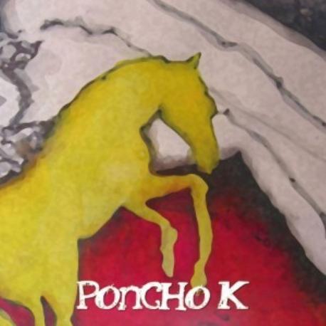 Poncho K " Caballo de oro " 
