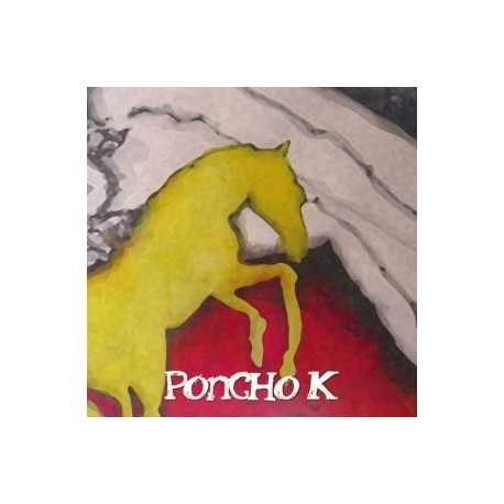 Poncho K " Caballo de oro " 