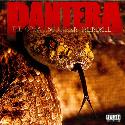 Pantera " The great southern trendkill "