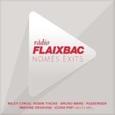 Ràdio Flaixback " Només èxits 2013 " V/A