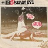 Beady Eye " Different Gear, Still Speeding "