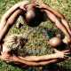 Xavier Rudd & Izintaba " Koonyum Sun "