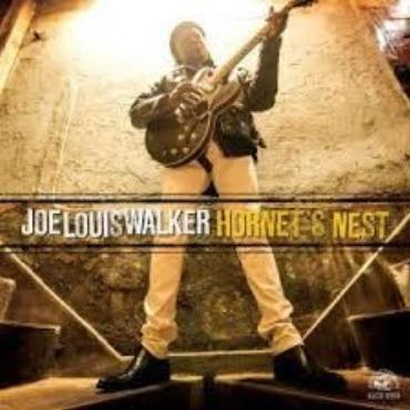 Joe Louis Walker " Hornet's nest " 