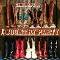 The best of country party V/A