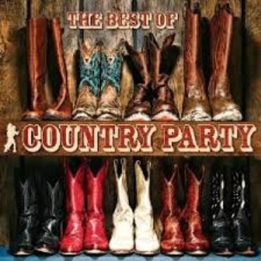 The best of country party V/A