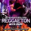 Reggaeton hits 2014 V/A