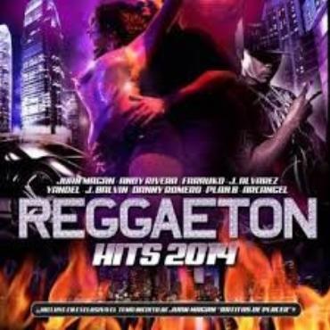 Reggaeton hits 2014 V/A