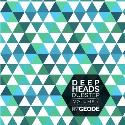 Deep heads Dubstep vol.1 mixed by Geode V/A