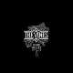 The Vines " Vision Valley "