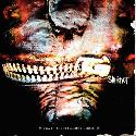 Slipknot " Vol.3:The subliminal verses "