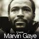 Marvin Gaye " Classic " 