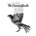 The Common Linnets " The Common Linnets "