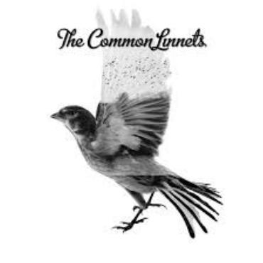The Common Linnets " The Common Linnets "