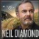 Neil Diamond " Melody road " 