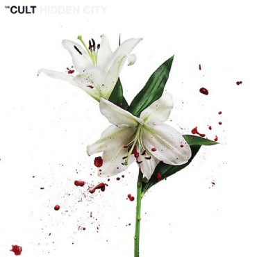 The Cult " Hidden city "